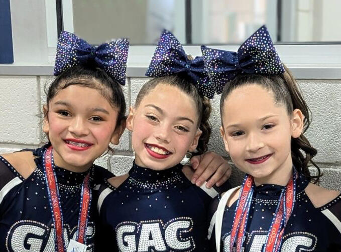 Performance Bows